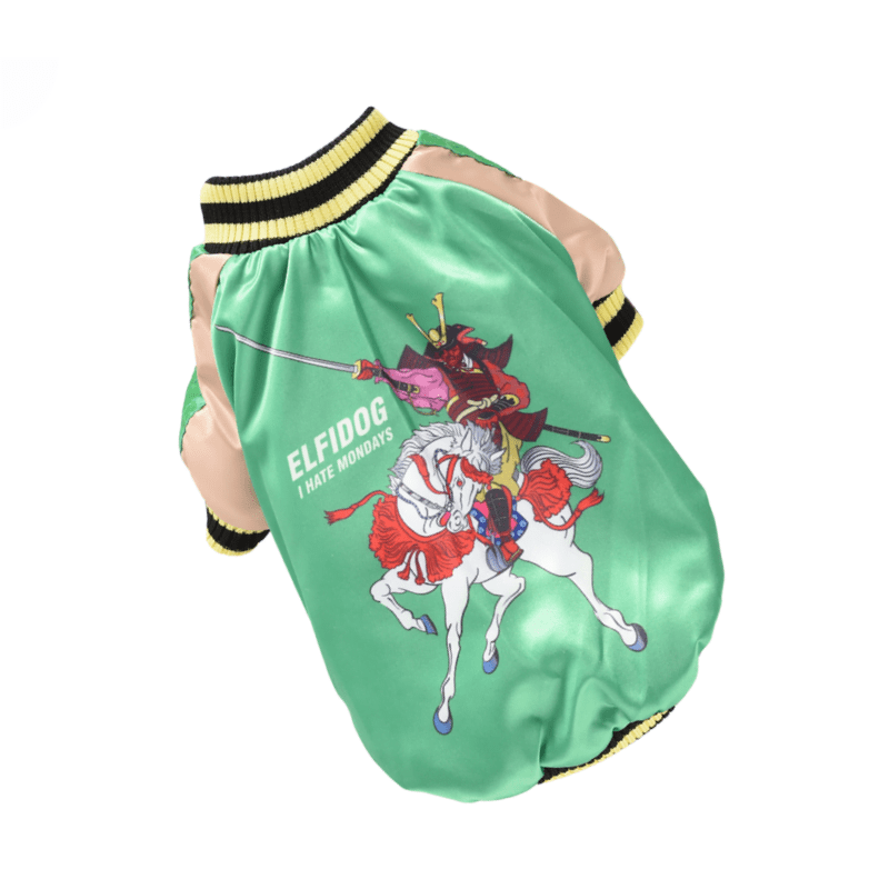 Hong Pet cotton Elfidog print winter Coat-Green-Small
