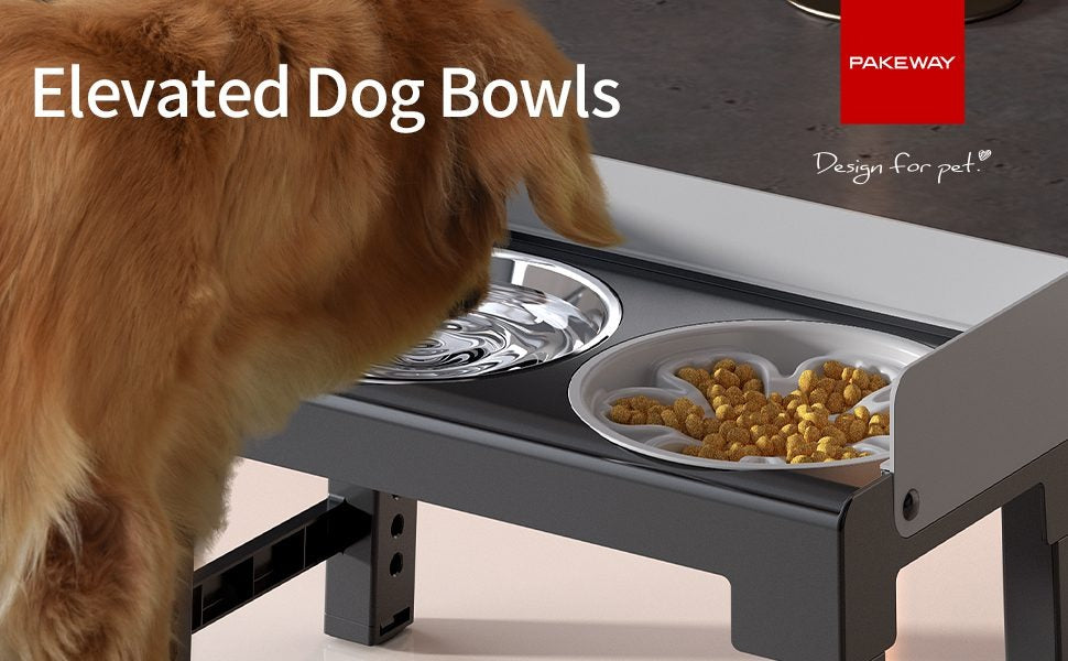 Pakeway Stainless Steel Elevated Double Dog Bowl-42.4*22.8*22 Cm - Black