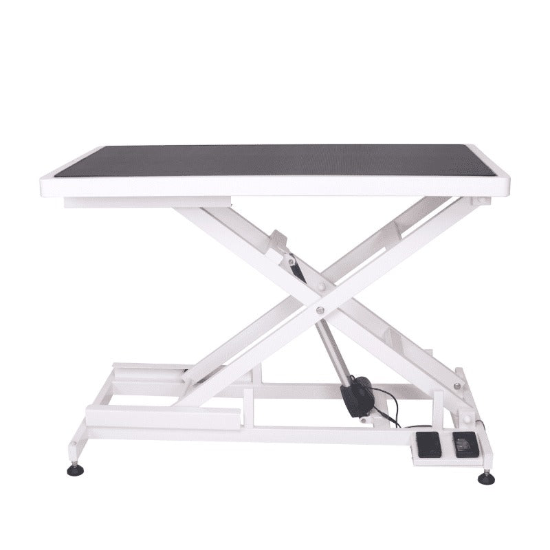 Aeolus Low-Low Electric Lifting Table (Powered by Denmark Linak Actuator & Transformer)124*66*20--102cm