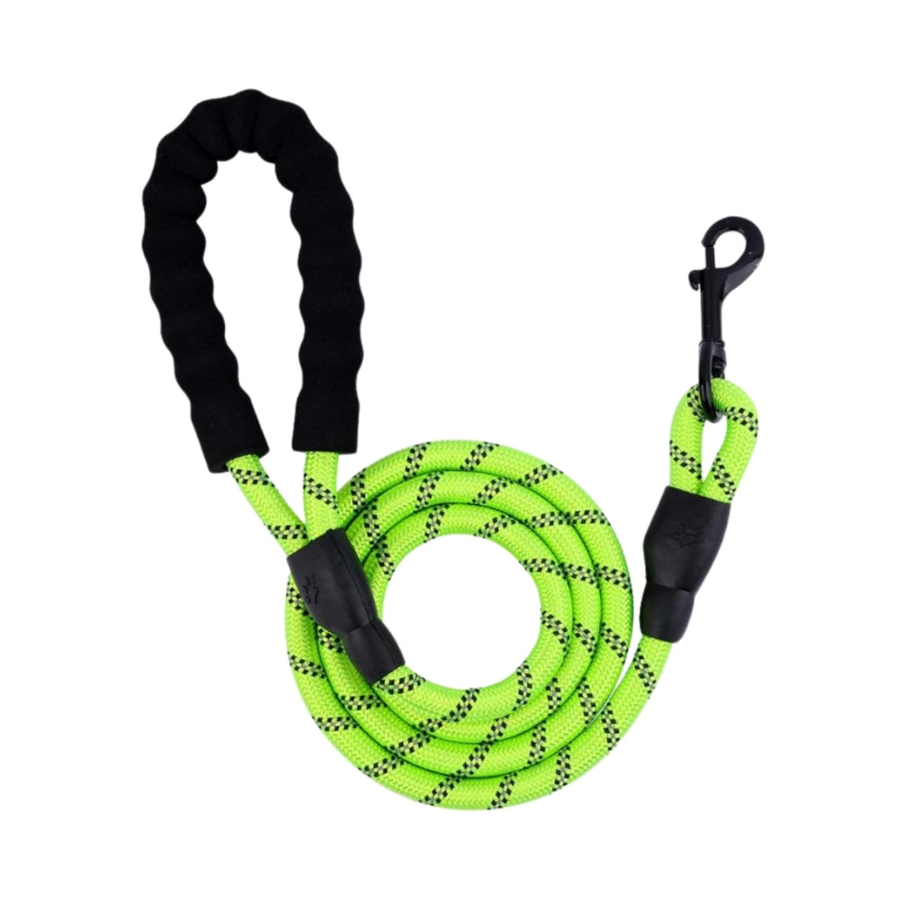Cozy Paws Nylon Reflective Dog Leash ? Green, Small (150cm)