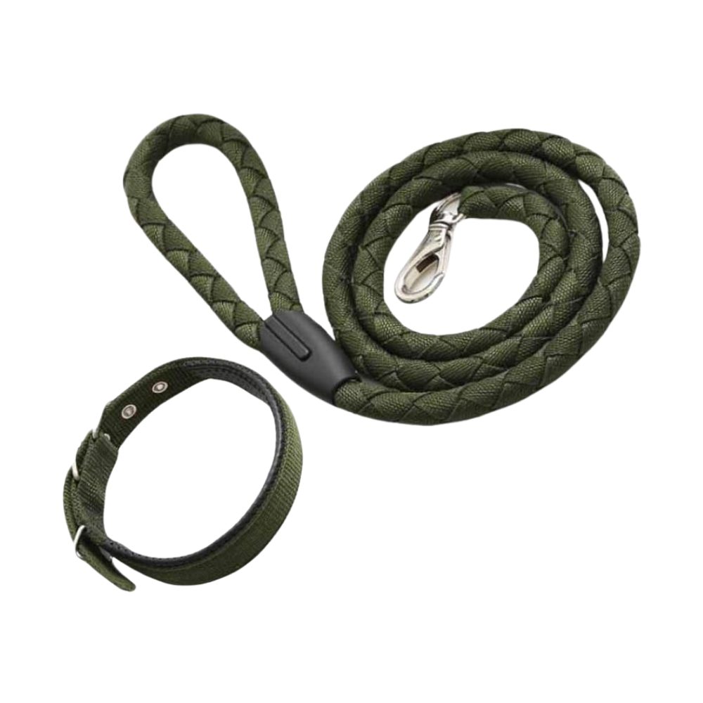 Cozy Paws Braided Nylon Dog Leash With Adjustable Collar Green - 125*6 cm - 55*3 cm