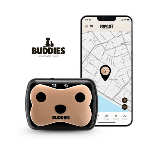 Buddies Pet GPS Tracker with AI Health Monitoring