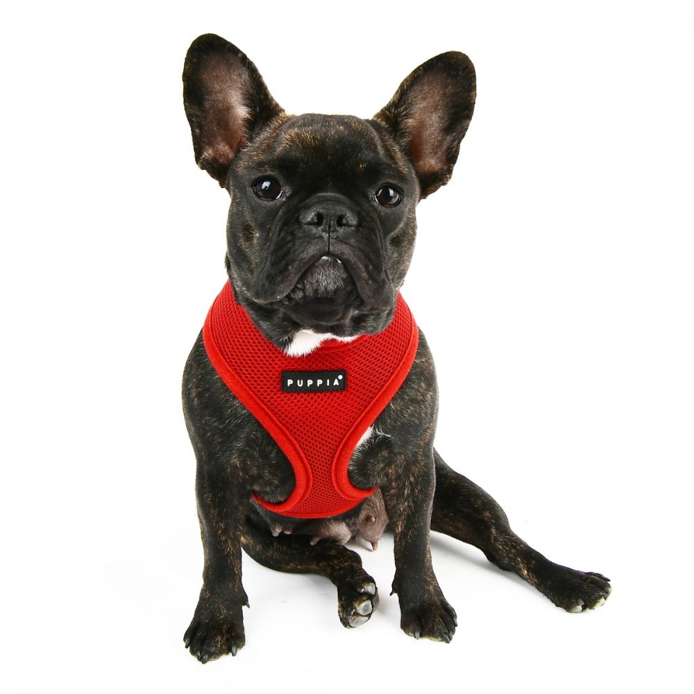Puppia Soft Harness-Ac30