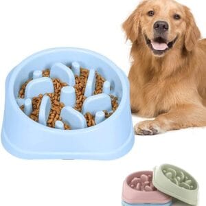 Happy Hunting Slow Feeder Bowl For Dogs 20*4.5cm