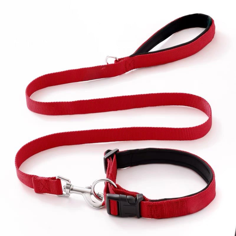 Helepet Nylon  Dog Leash Collar Set