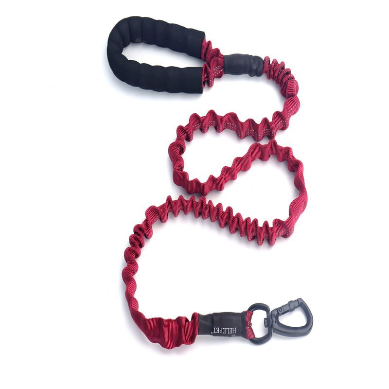 Helepet Non Pull Elastic Dog Bungee Leash - L- 25mm*1200mm