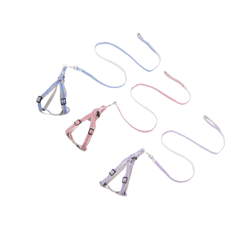 For Pet Dog Lead Chain With Harness - 1.5*120Cm (Mixed Colors)