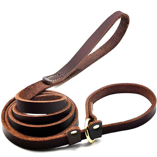 Cozy Paws Leather Slip Leash-1.8x180cm
