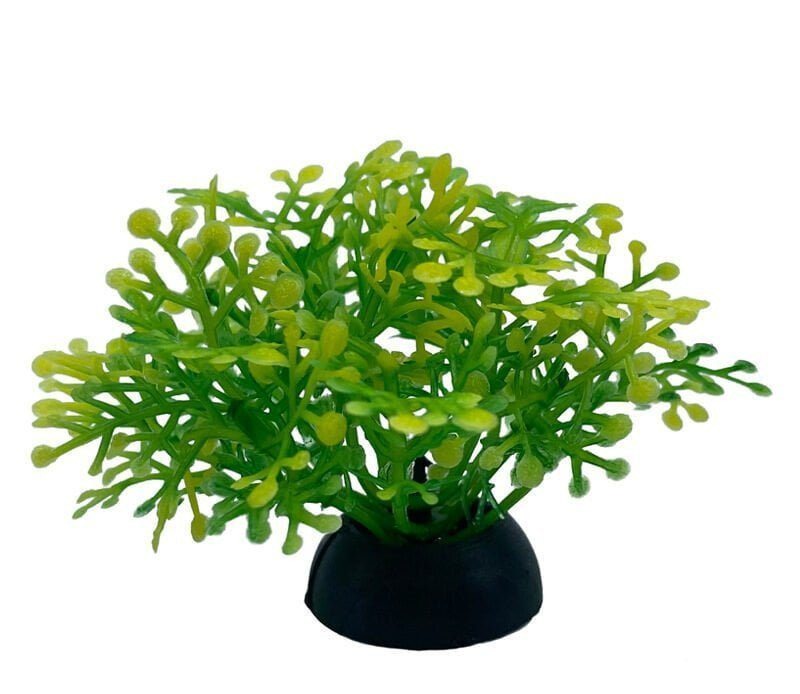 Aquarium Plastic Plant - S231-W2.5*H7 Cm(Sold By 20 Pcs/Pack Only)