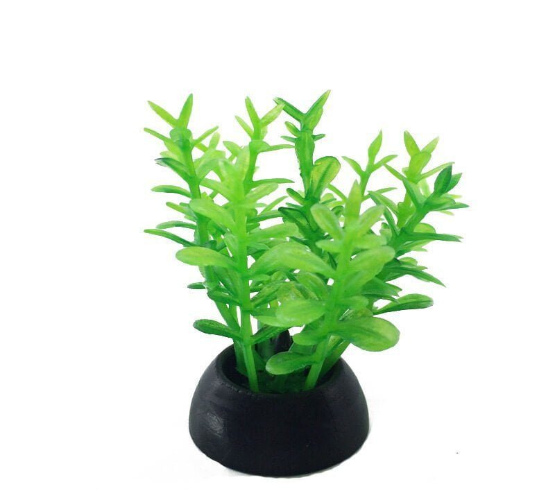Aquarium Plastic Plant - S240-W2.5*H5 Cm(Sold By 20 Pcs/Pack)
