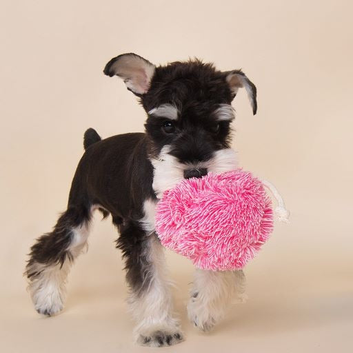 Puppy Life Cute Fluffy Squeaky Ball Shaped Dog Toy,Size: 21*18 Cm