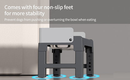 Pakeway Stainless Steel Elevated Double Dog Bowl-42.4*22.8*22 Cm - Black