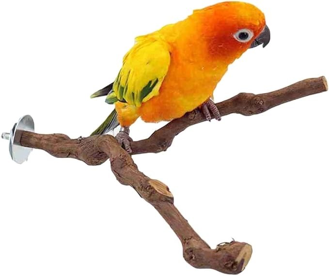 Cozy Paws Natural Bird Perch Stand Pole-Bifurcation-23*2 Cm