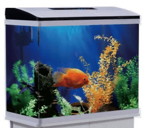 Perfect Aquarium set with Internal Filter Light mini :535×290×480 :BLACK