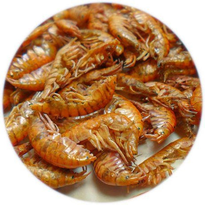 Aquav--Gammarus-80G