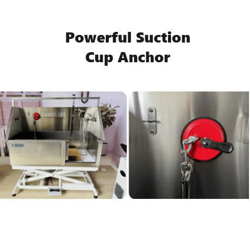 Aeolus Detachable Suction Cup & Adjustable Choker Loop Set