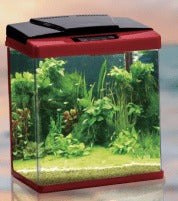 Perfect Aquarium Set Bending Edge With Internal Filter Light Mini :380*250*410 :Red