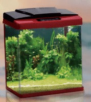 Perfect Aquarium Set Bending Edge With Internal Filter Light Mini :280*180*340 :Red