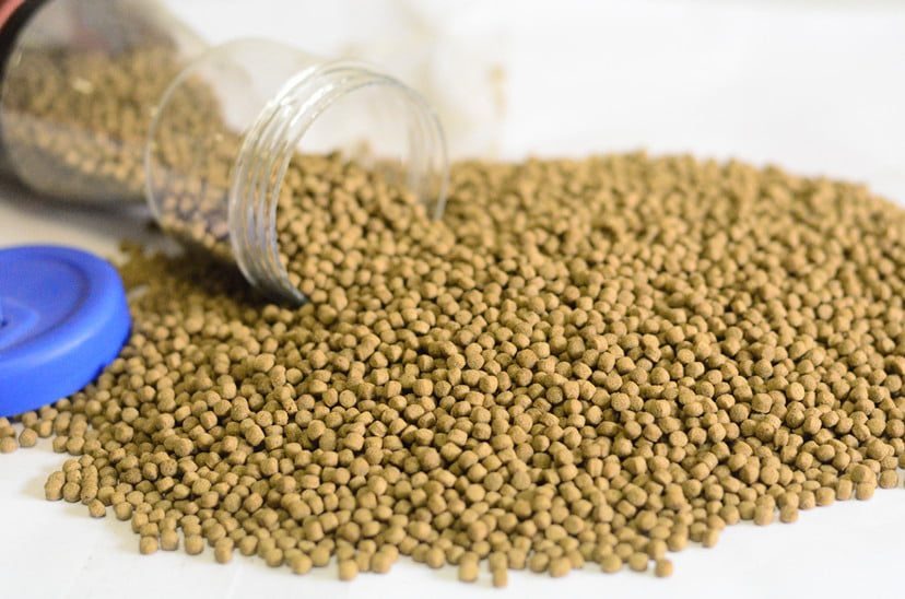 Aquav Koi Pellets