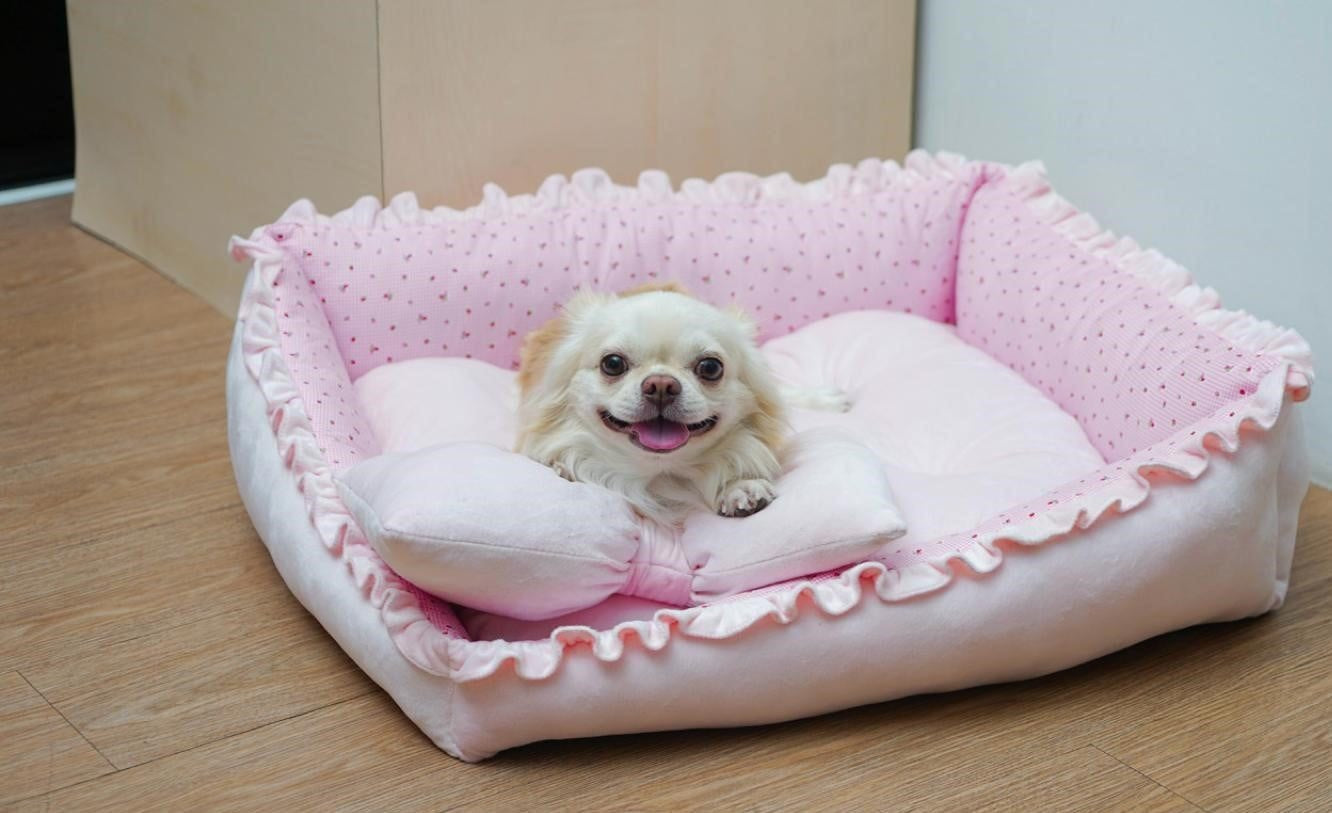 Coco Kindi Tilted Soft Pet Bed