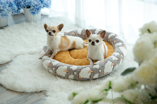 Coco Kindi Pizza  Style Pet Bed Fur - Size #1